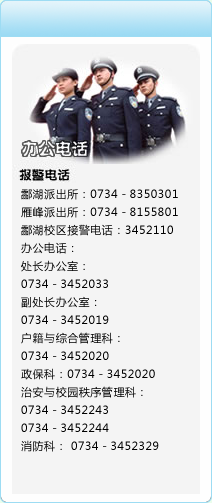 报警方式