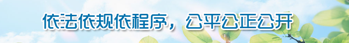 依法依规依程序,公平公正公开
