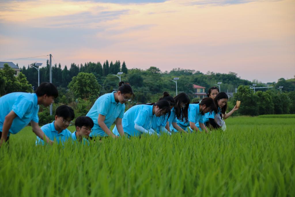 三下乡|city不city，湖南工学院“菜篮子青年”带你瞧瞧衡阳乡村是ma味？
