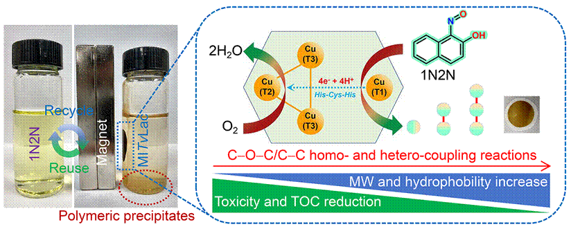 Graphical abstract-1N2N